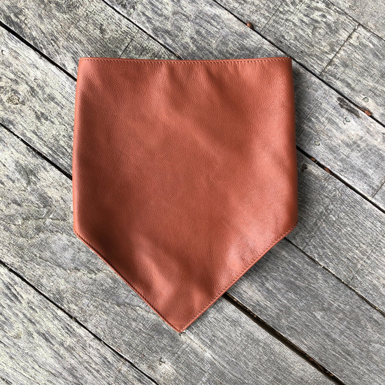 Credit Card Trucker Wallet