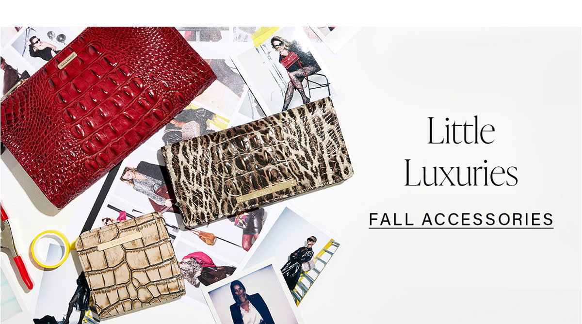 Little Luxuries FALL ACCESSORIES