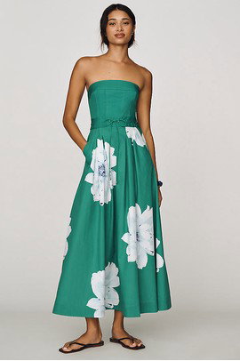 Maeve Strapless Waisted Maxi Dress