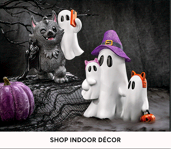 Shop Indoor Decor