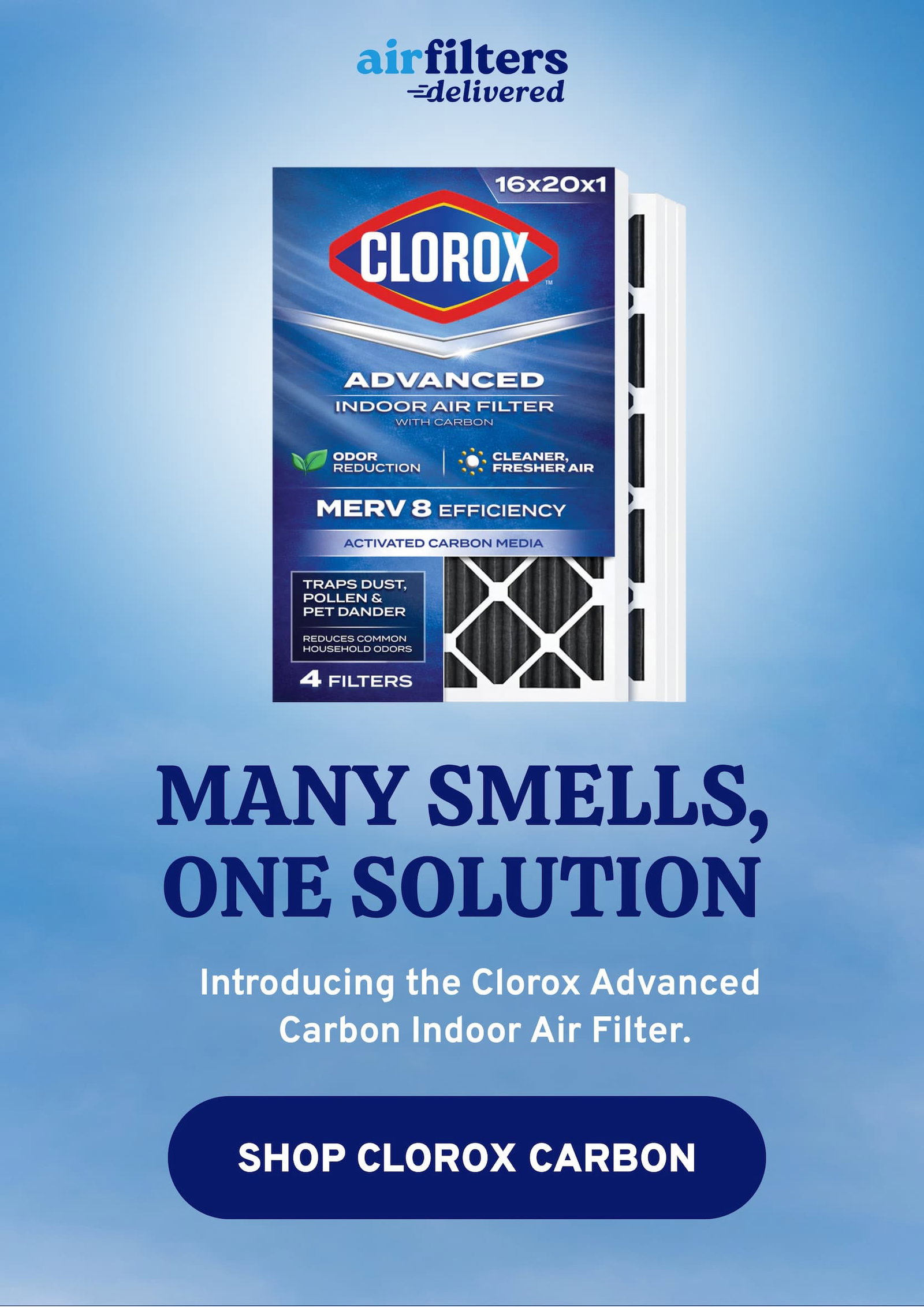 Many smells, one solution. Introducing the Clorox advanced carbon indoor air filter.