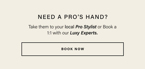 Book Now 