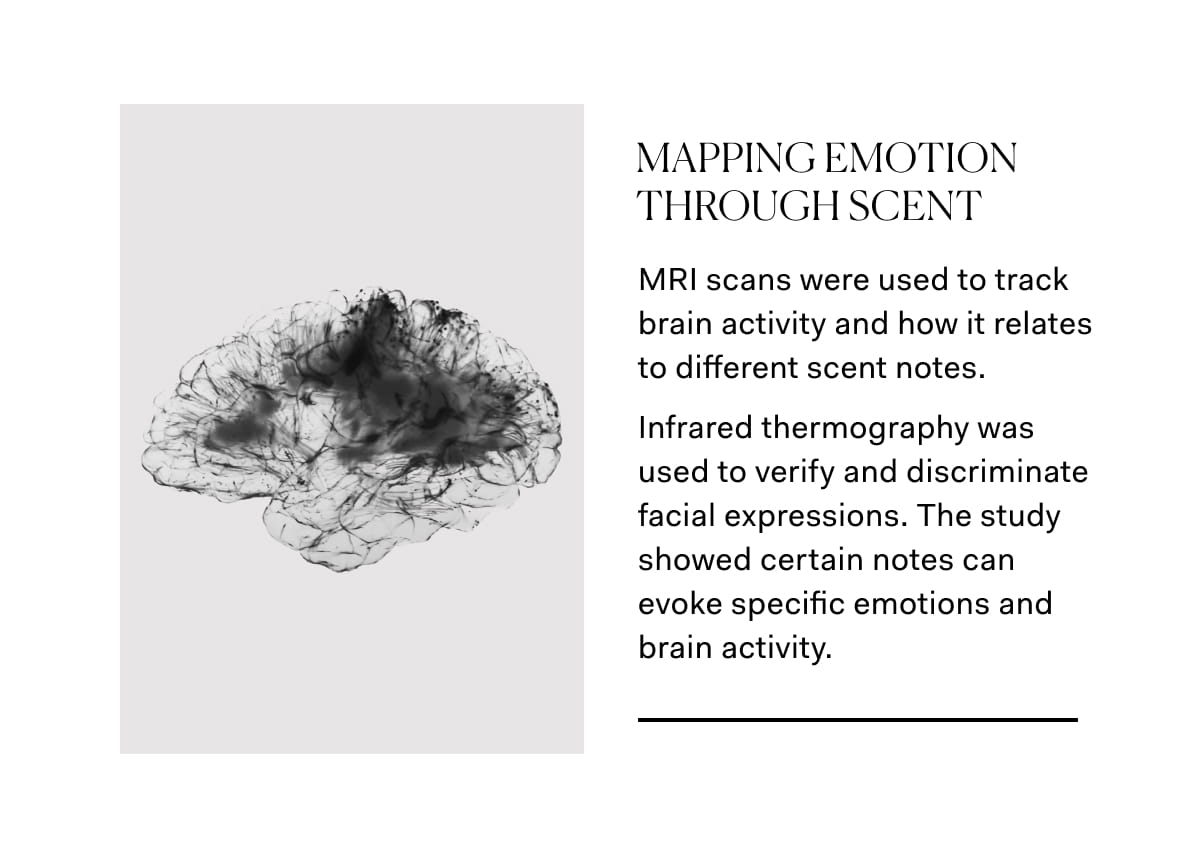 MAPPING EMOTION THROUGH SCENT | MRI scans were used to track brain activity and how it relates to different scent notes. Infrared thermography was used to verify and discriminate facial expressions. The study showed certain notes can evoke specific emotions and brain activity. 