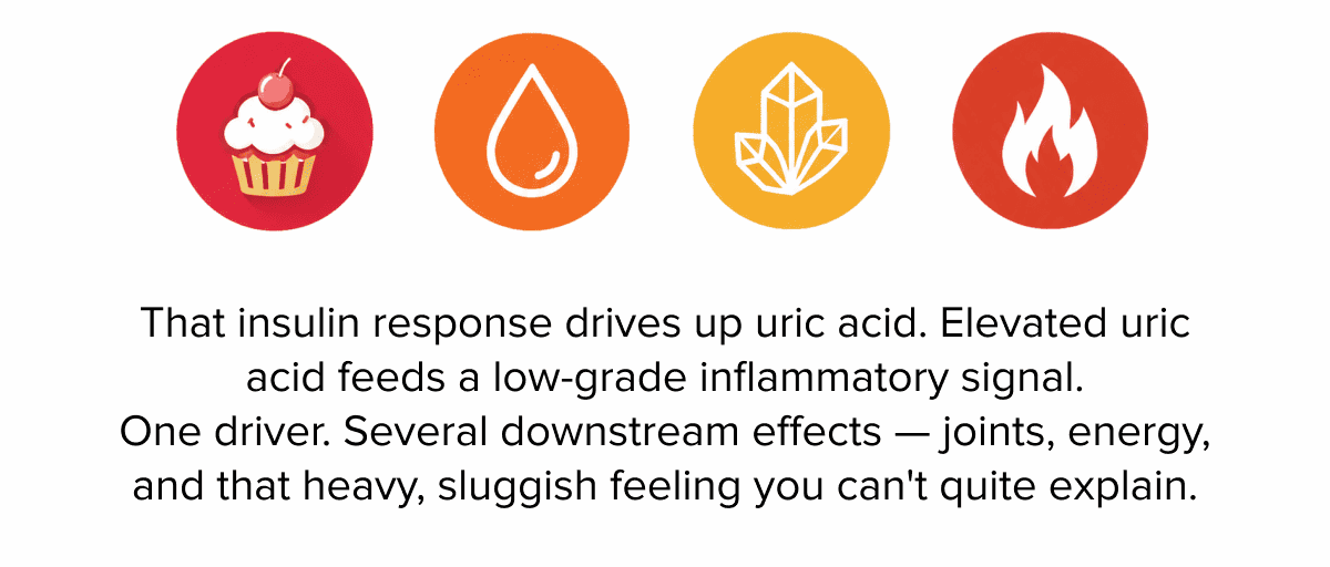That insulin response drives up uric acid. Elevated uric acid feeds a low-grade inflammatory signal. One driver. Several downstream effects — joints, energy, and that heavy, sluggish feeling you can't quite explain.
