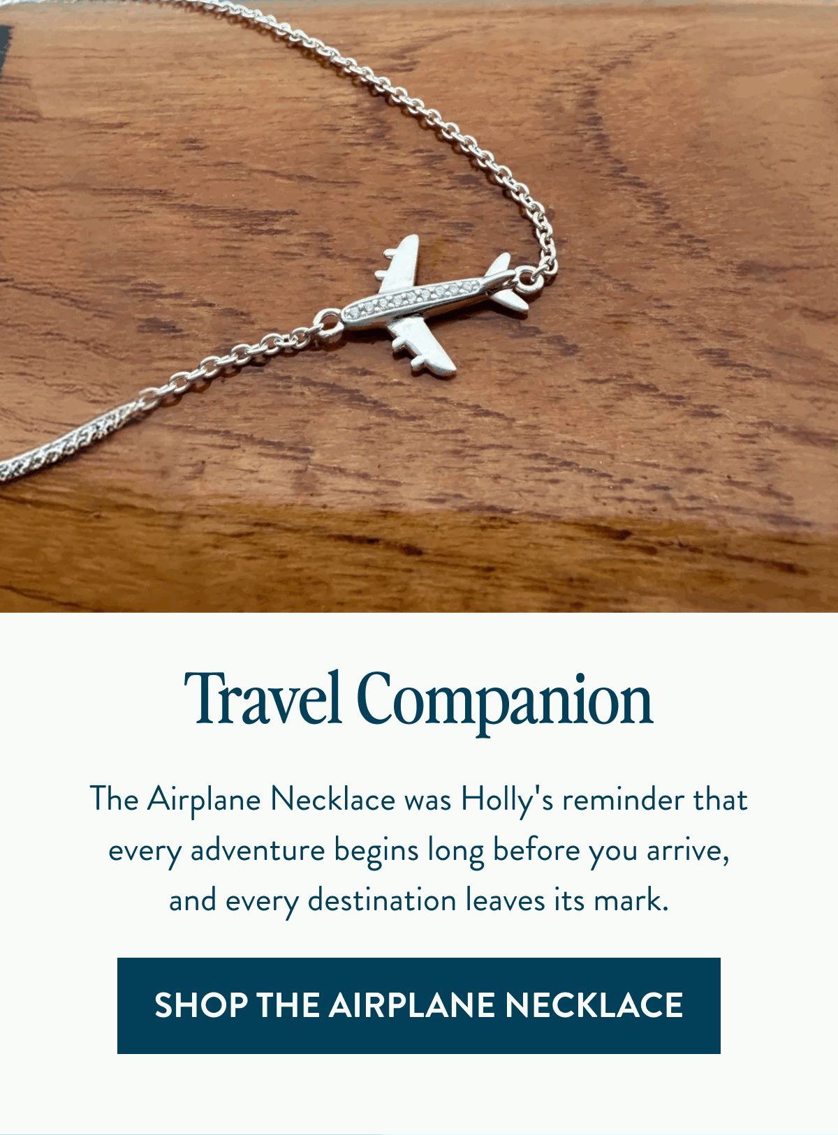 Travel Companion