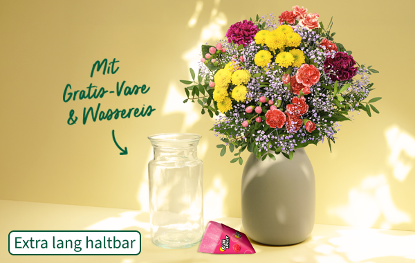 Lange haltbarer Blumenstrauß Blütenfreude mit 2 Gratis-Geschenken für 30,99 €