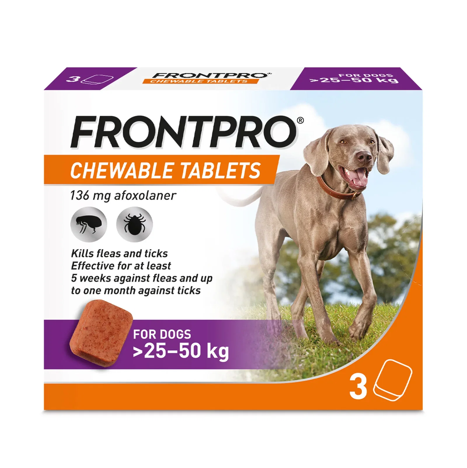 Image of Frontpro