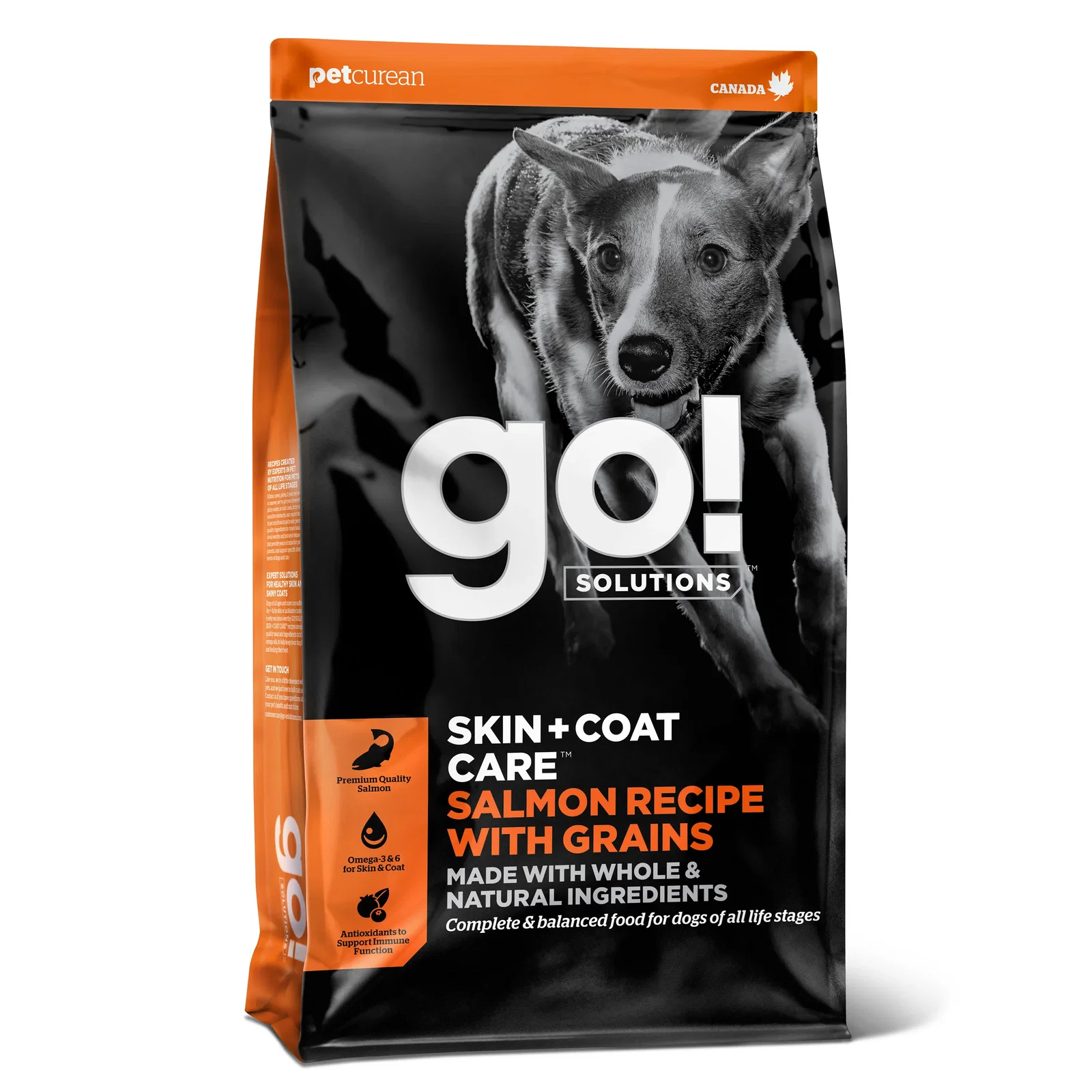 Image of Go! Solutions
