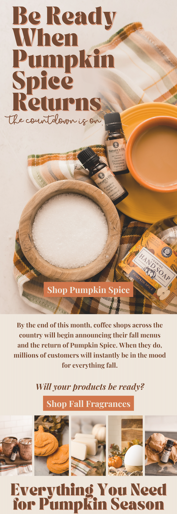 Pumpkin Spice is Back