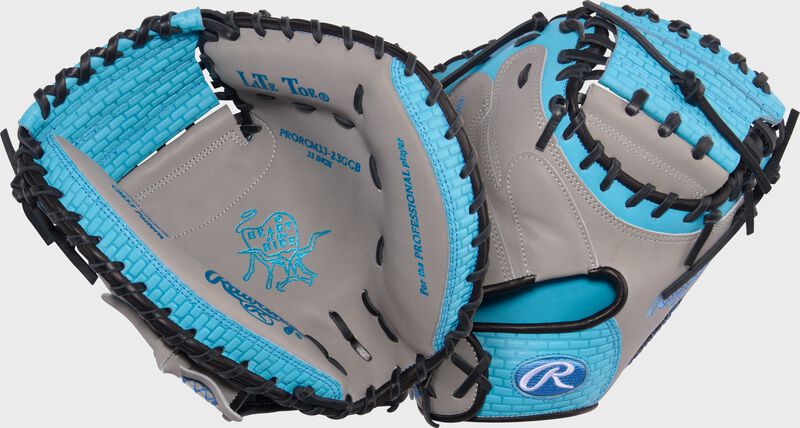 Catcher's Mitt