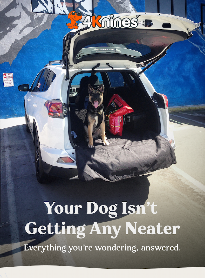 Your Dog Isn't Getting Any Neater