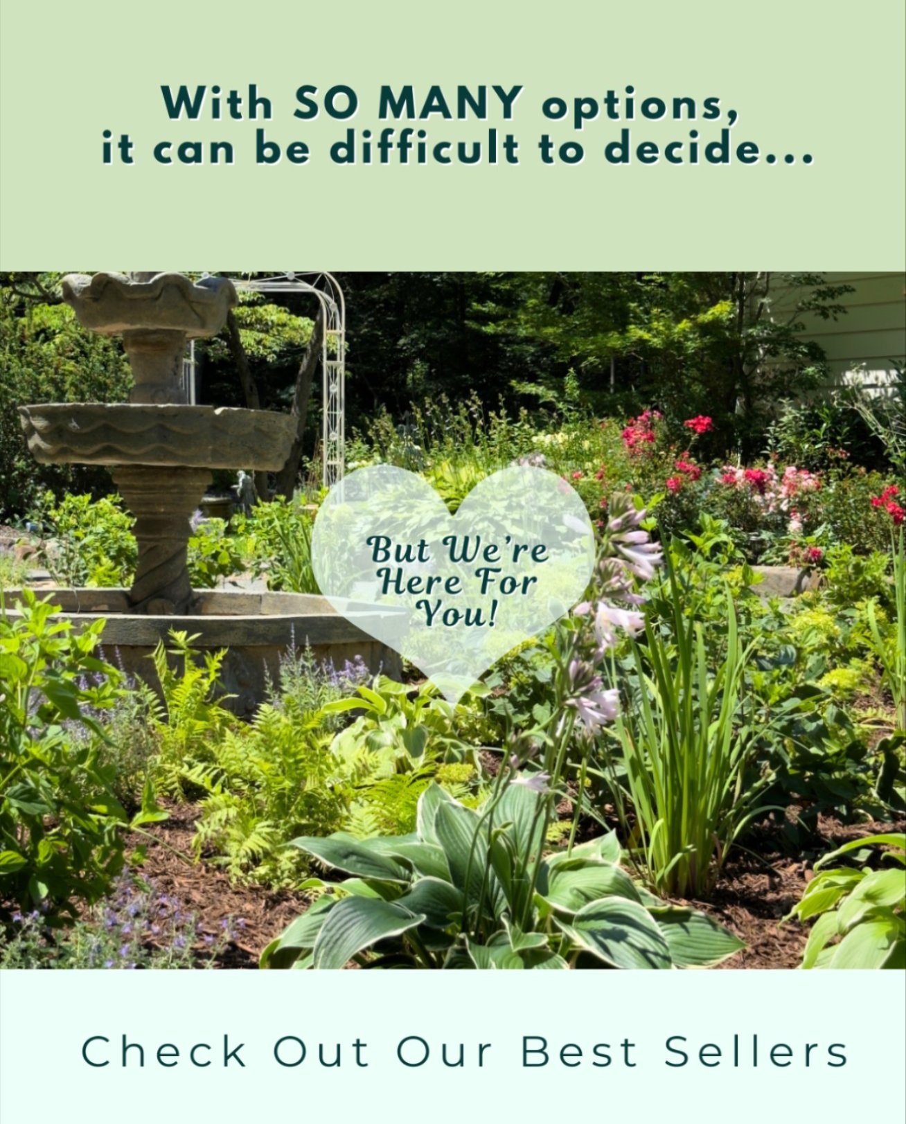 With SO MANY options, it can be difficult to decide...