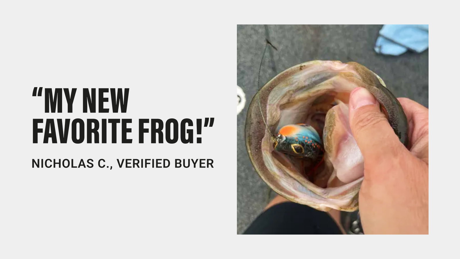 Swamp Lord Jr. Quote