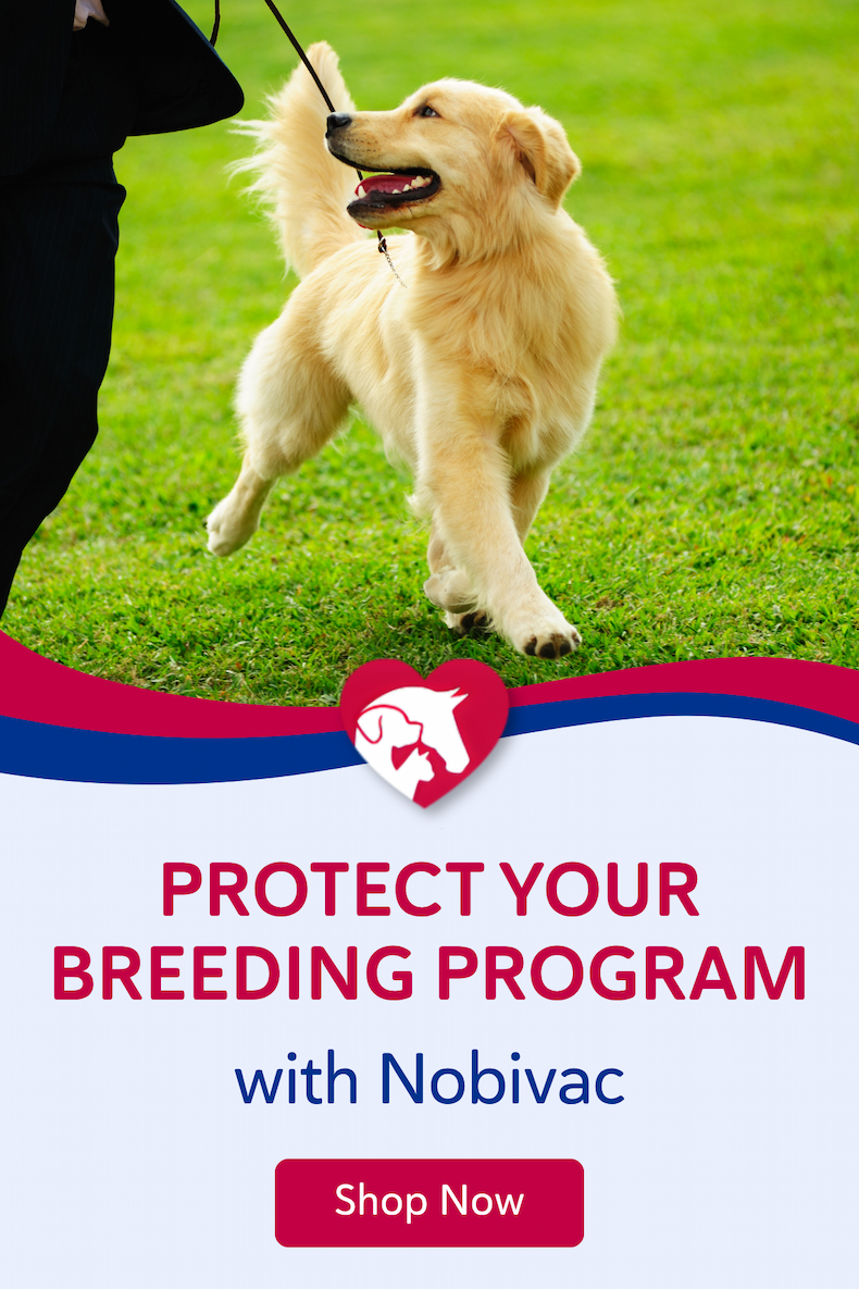 Protect your breeding program with Nobivac.