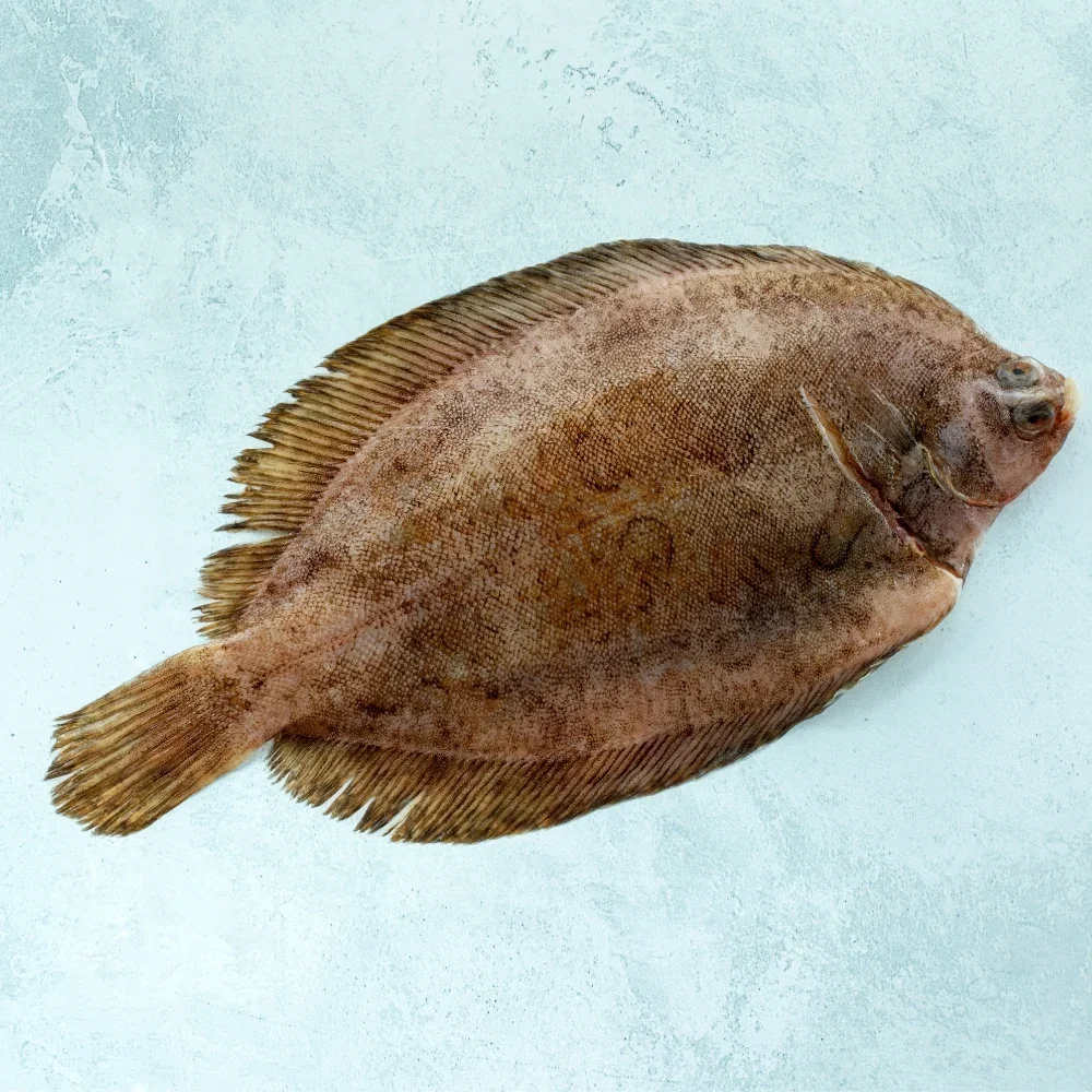 Image of Whole Wild British Lemon Sole
