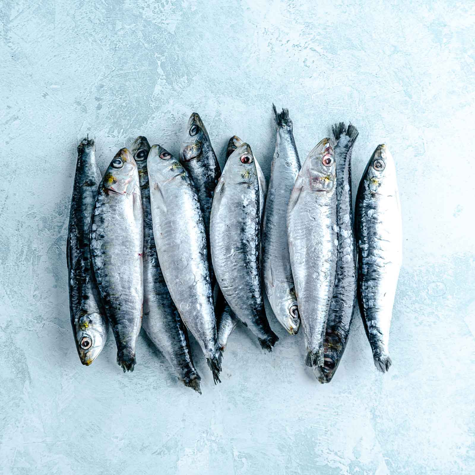 Image of Whole Wild Atlantic Sardines
