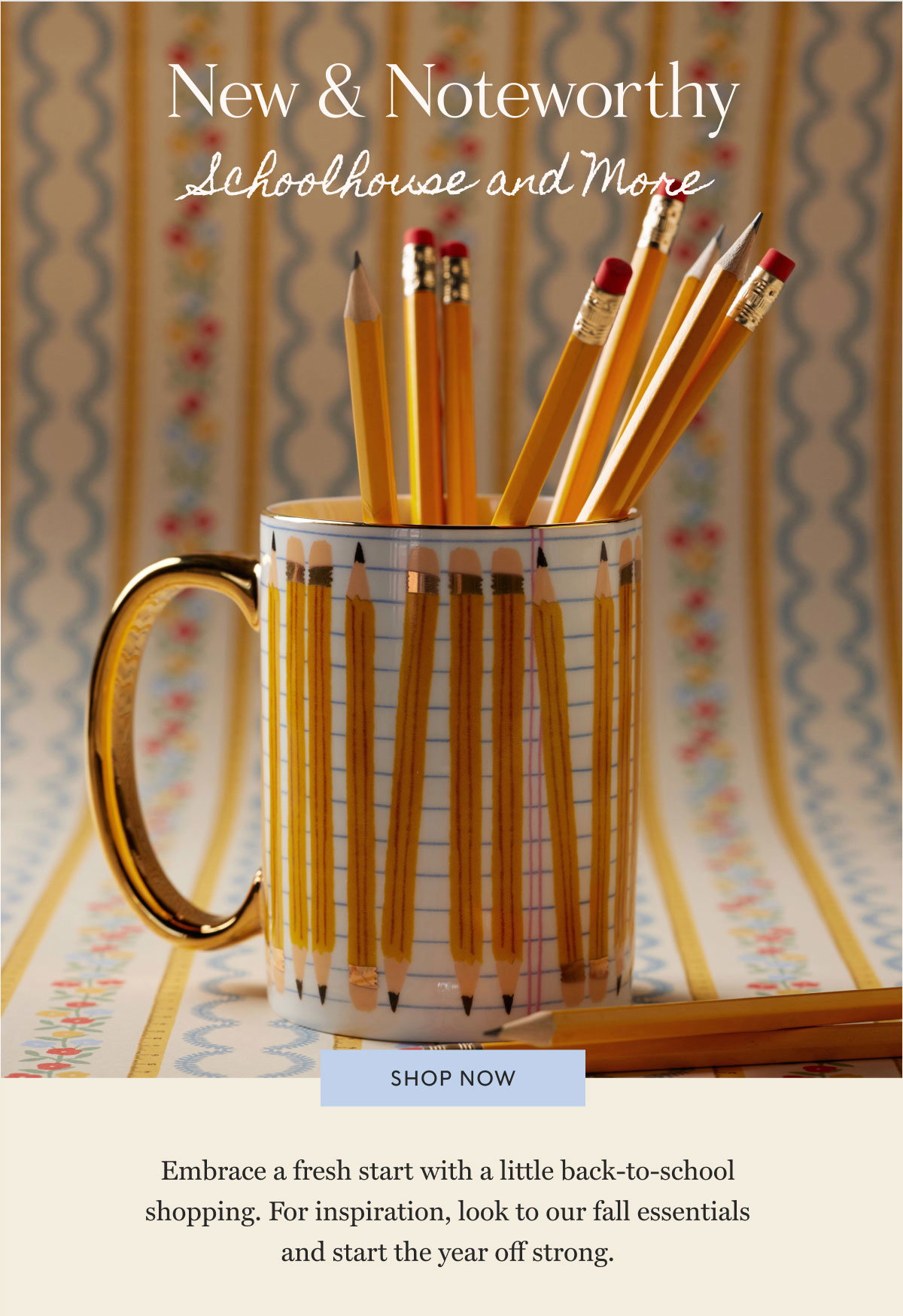 New & Noteworthy Schoolhouse and More Shop now