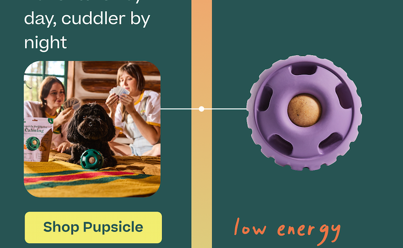 Shop Pupsicle
