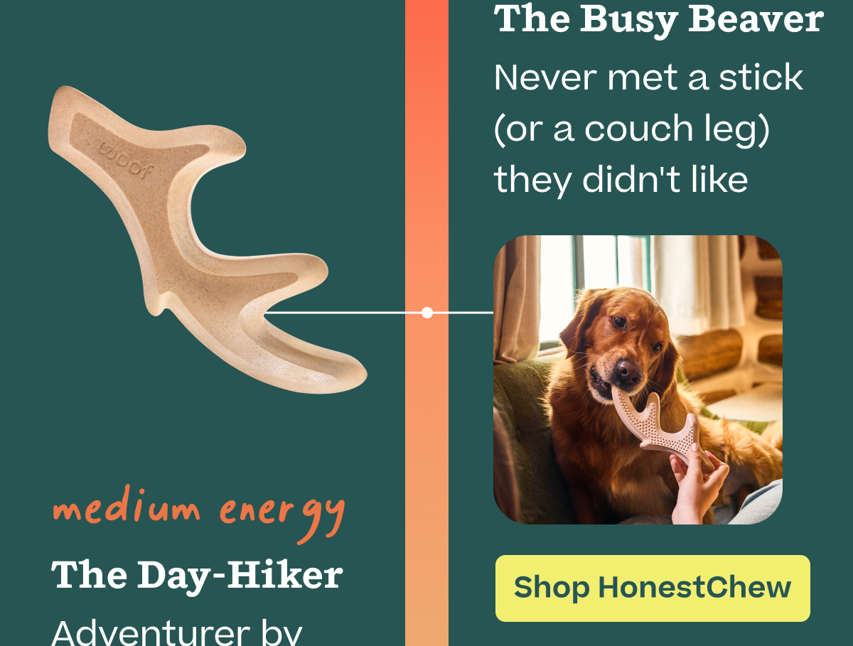 Shop HonestChew