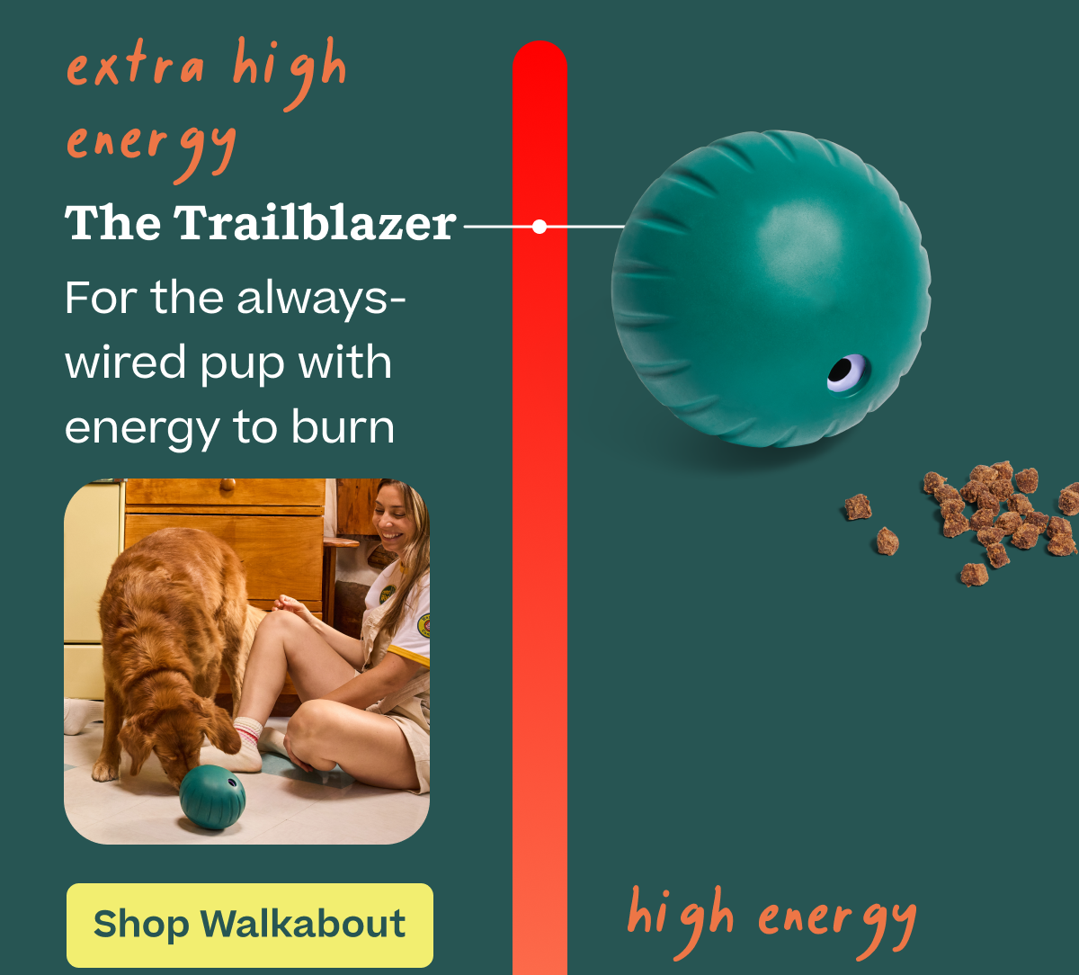 Shop Walkabout 