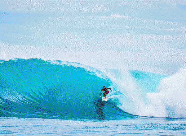 Surf Essentials