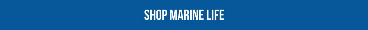Shop Marine Life
