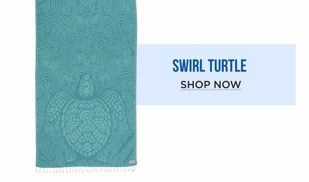 Swirl Turtle SHOP NOW