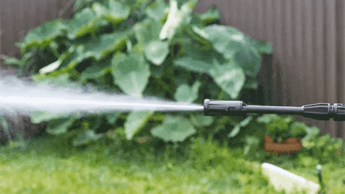 Mini Pressure Washer $99