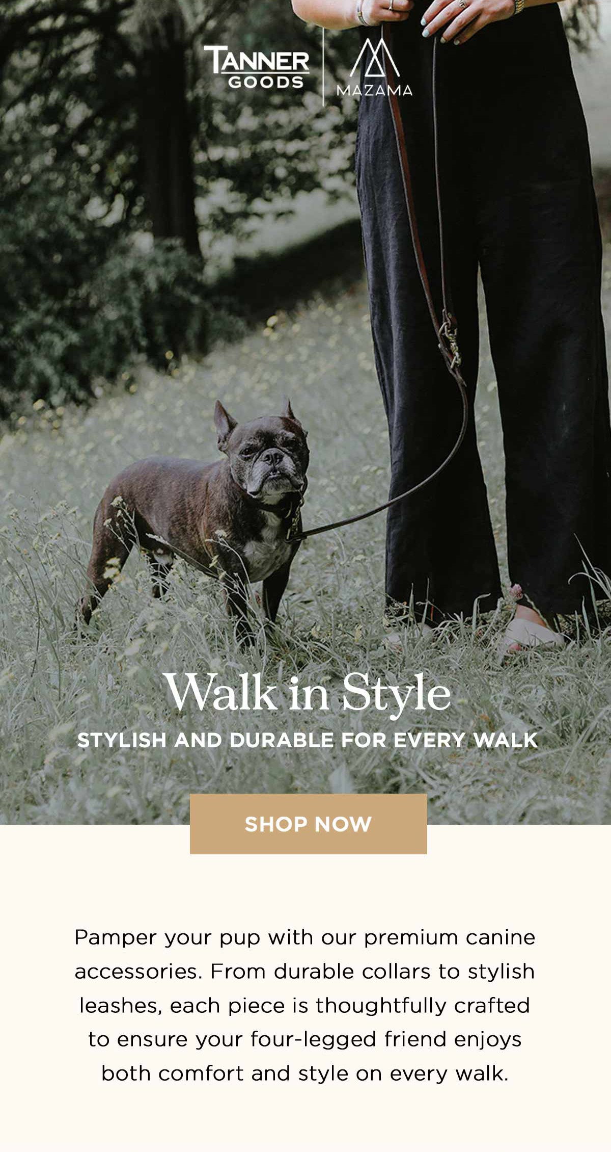 Canine accessories