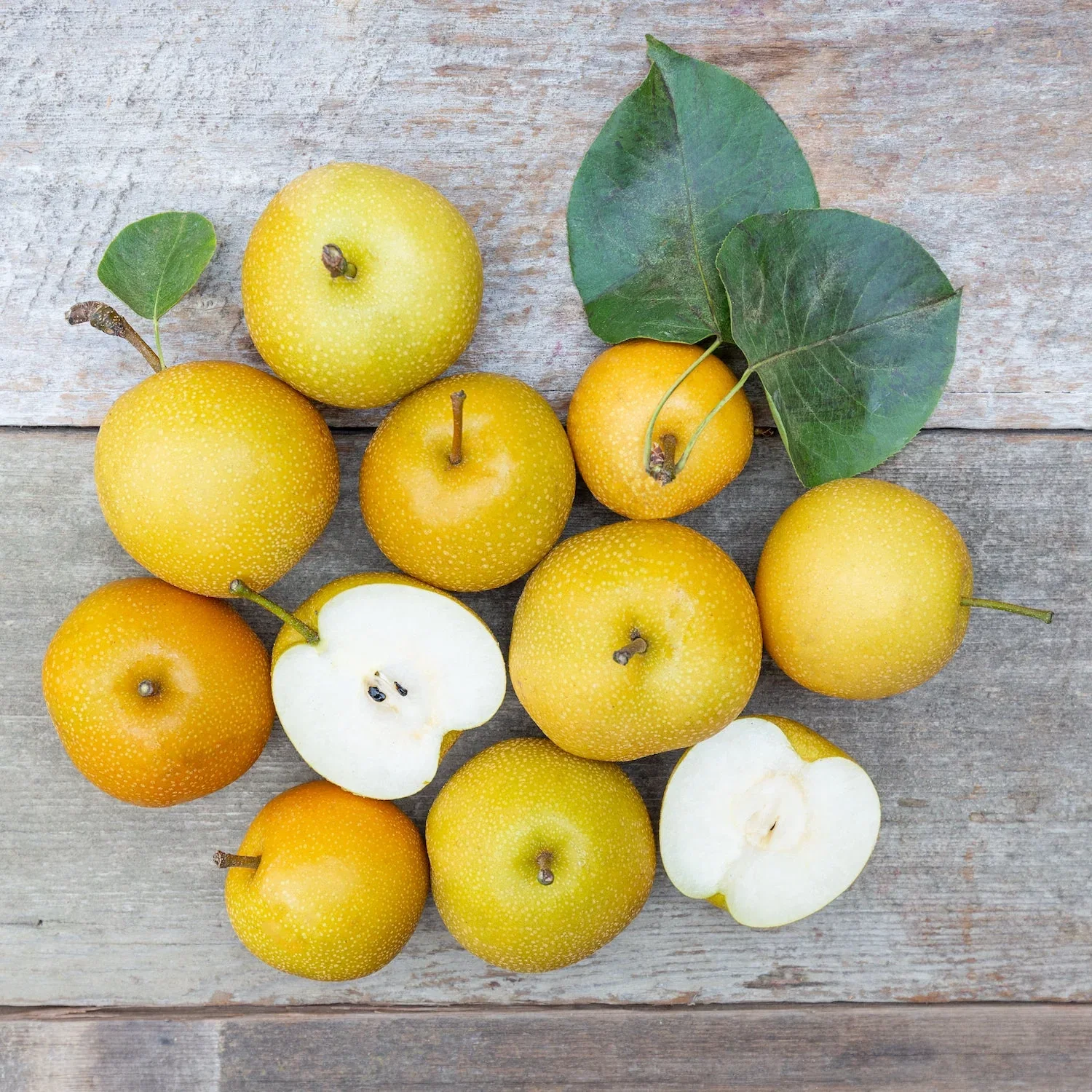 Image of Organic Hosui Asian Pears