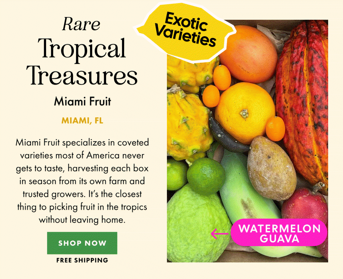 Miami Fruit Variety Box
