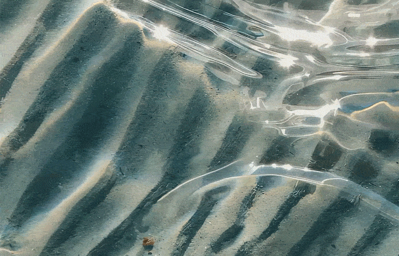A shimmering surface of water