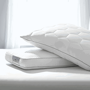 All Supportive Pillows