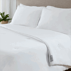 Original Performance All Season Comforter