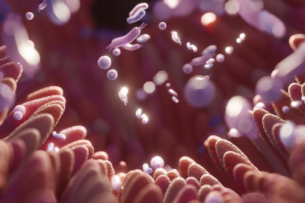 Microbiote