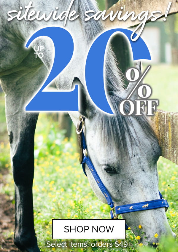 Sitewide Savings! 20% Off over $49