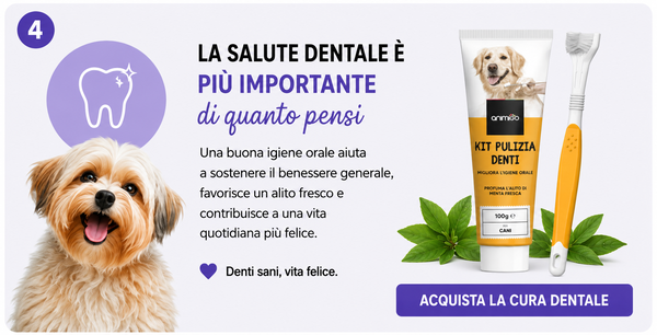 Dental