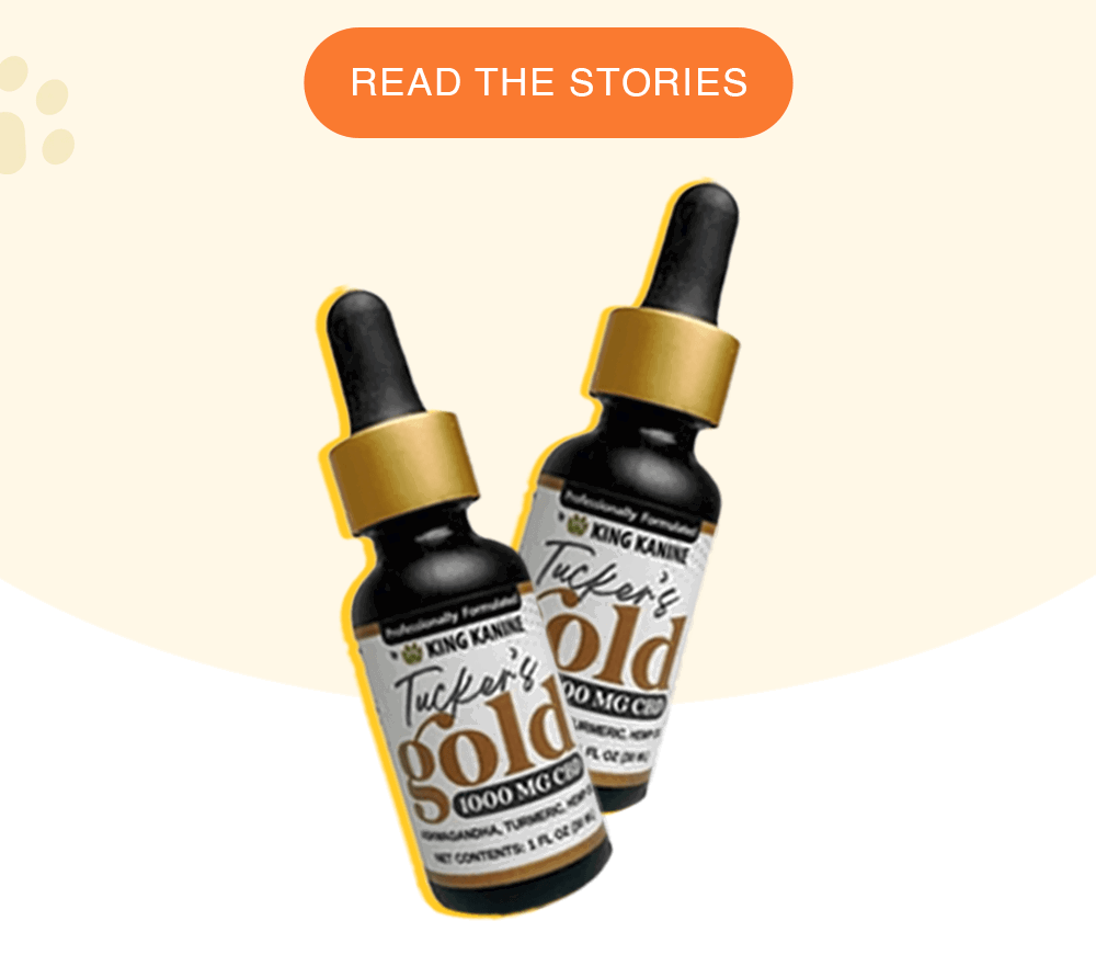 Tucker’s gold The #1 Vet Recommended Pet CBD Supplement