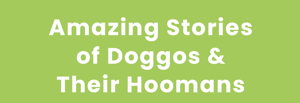Amazing Stories of Doggos & Their Hoomans