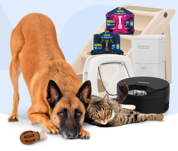 Dog and cat with top-rated PetSafe products