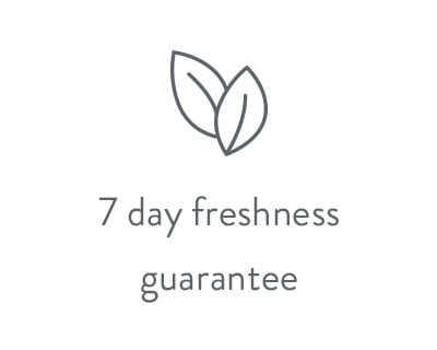 Freshness Guarantee