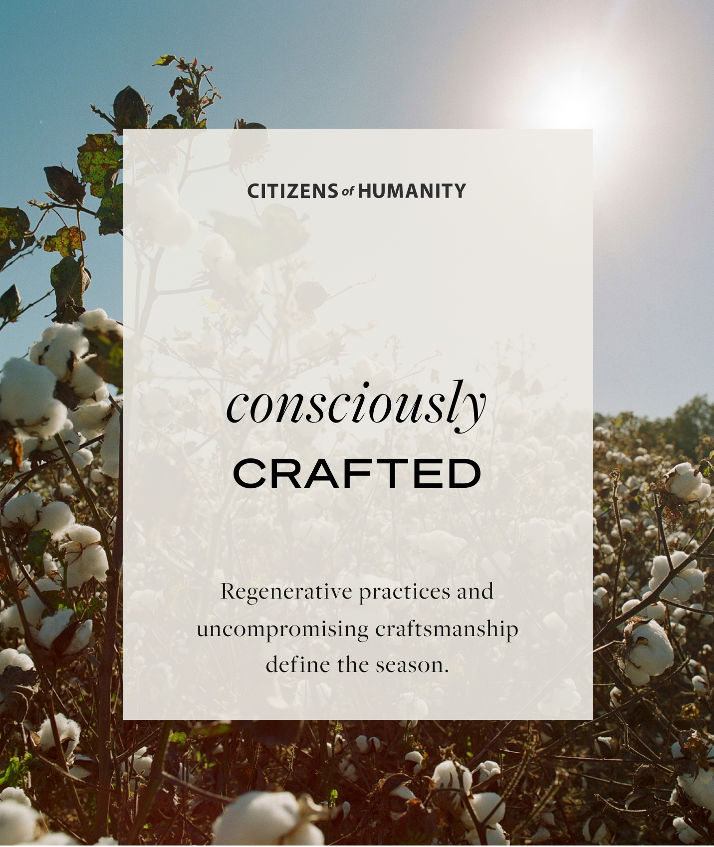 Consciously Crafted - Shop Regenerative