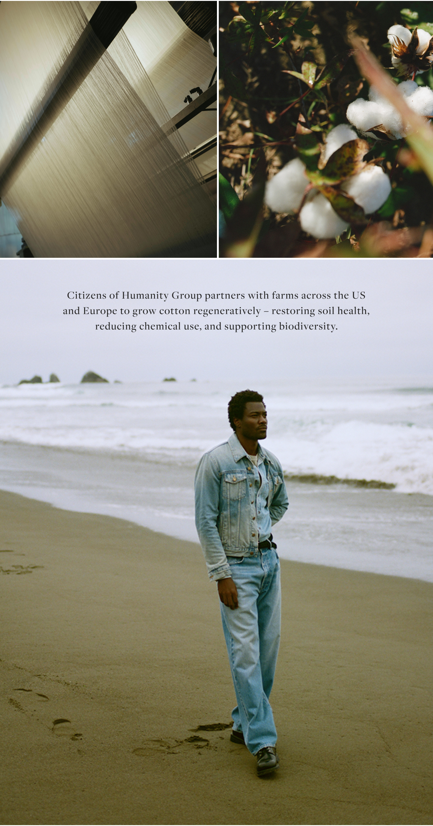 Consciously Crafted - Shop Regenerative