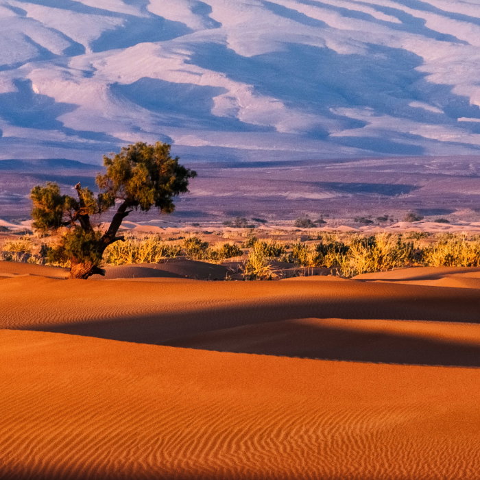 Moroccan Explorer: Mountains to Desert