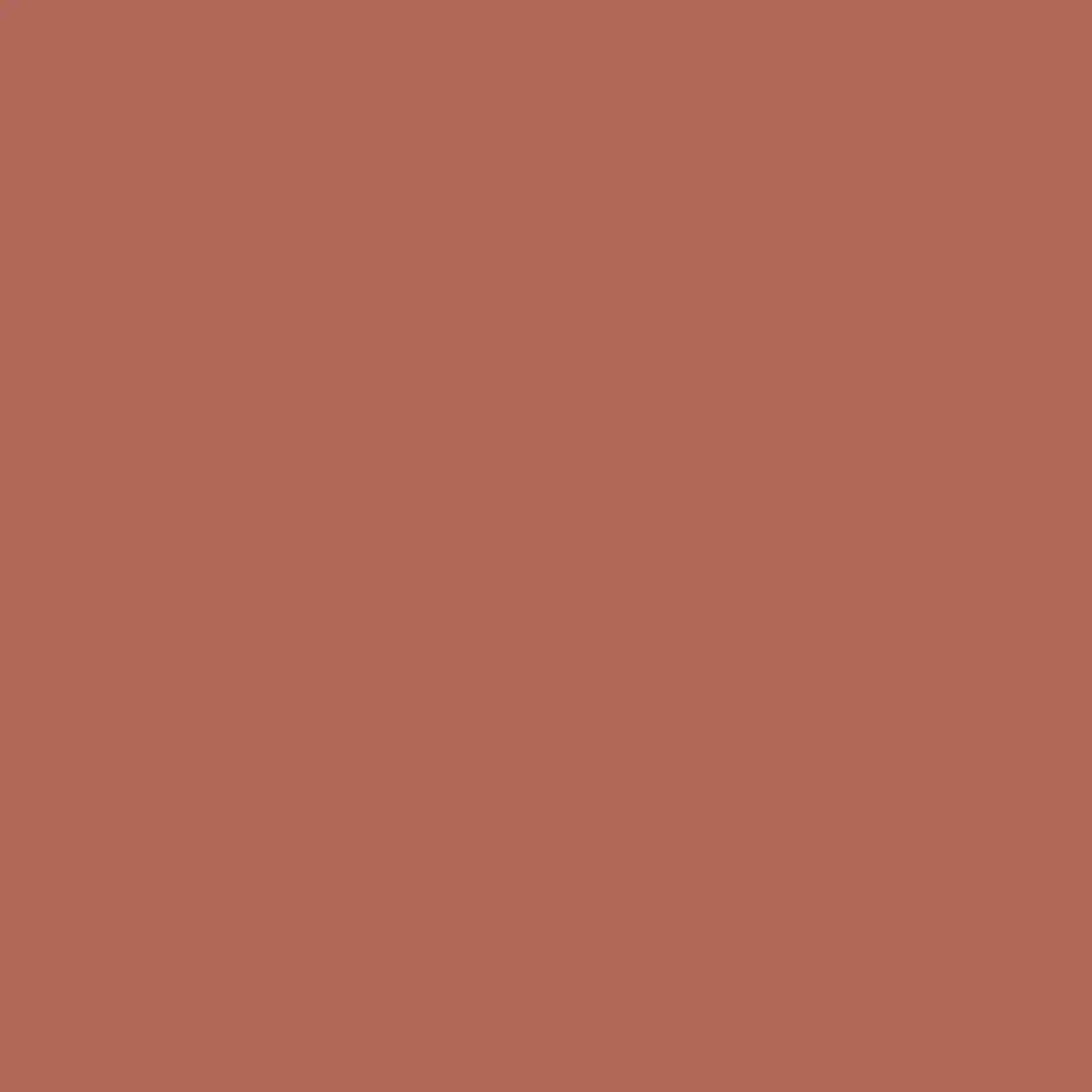 Image of Baked Terra Cotta (1202)