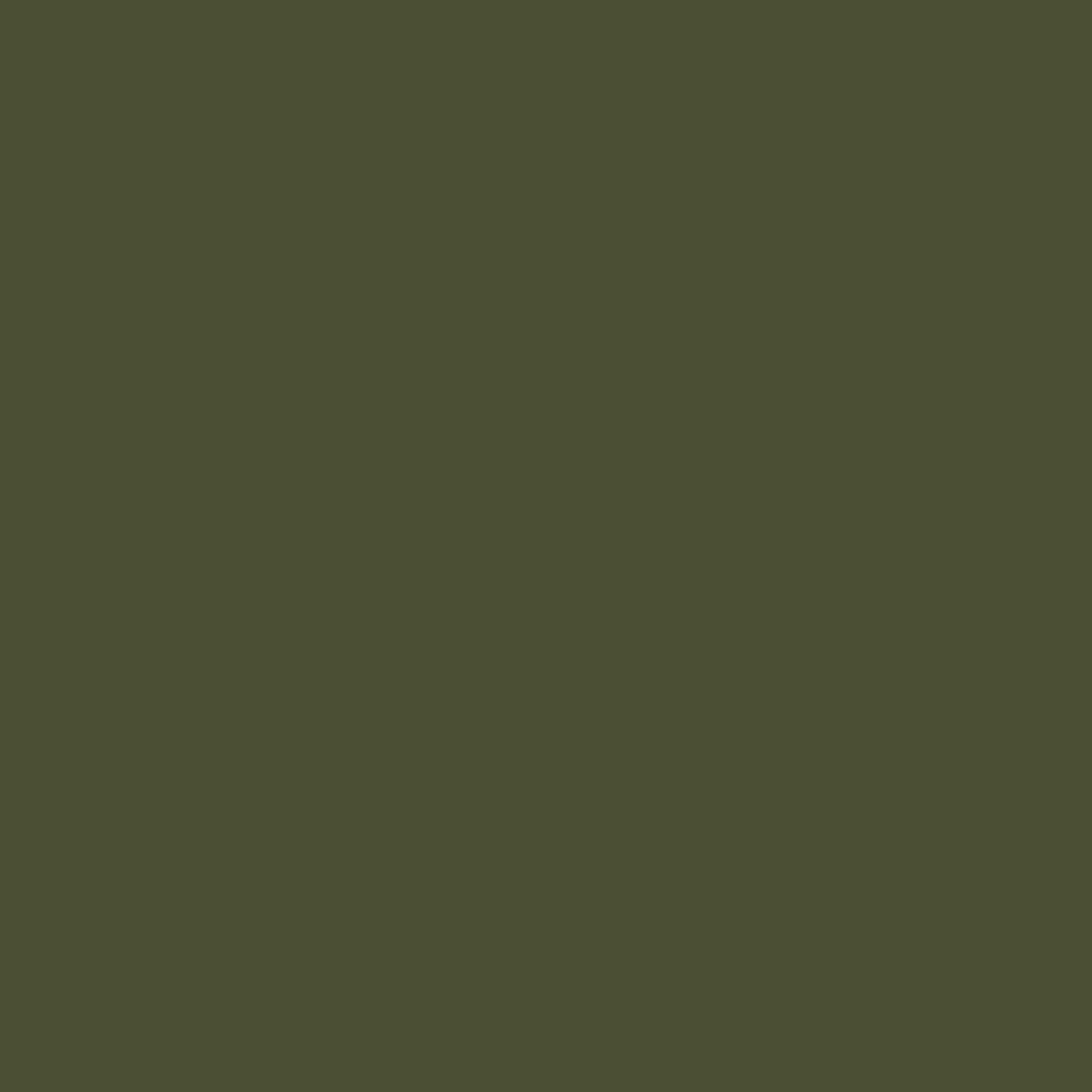 Image of Windsor Green (CW-505)