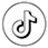 tiktok icon