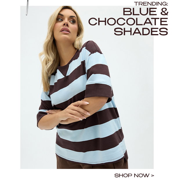 BLUE & CHOCOLATE SHADES