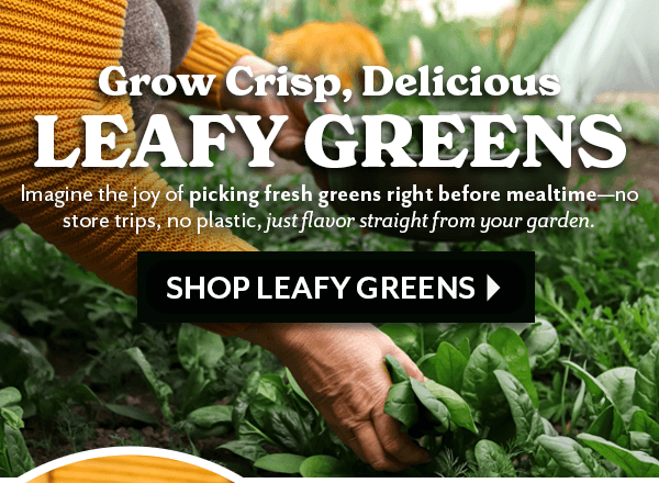 Grow Crisp, Delicious LEAFY GREENS