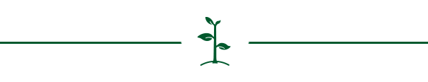shop now on park seed